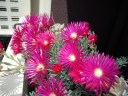 dscn0275